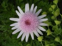 May